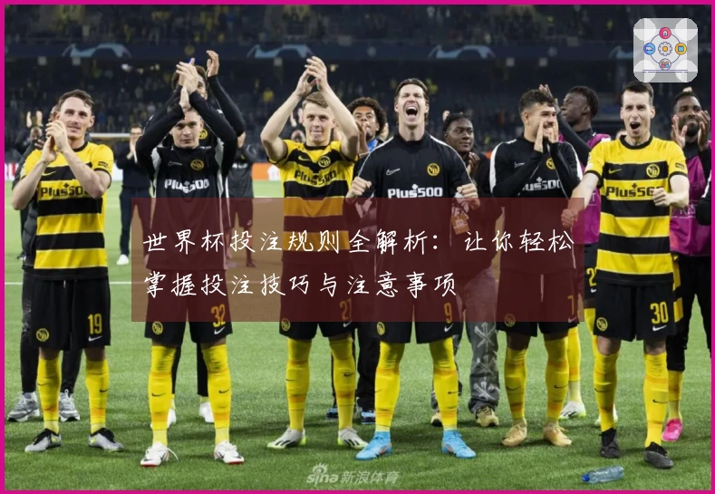 世界杯投注规则全解析：让你轻松掌握投注技巧与注意事项