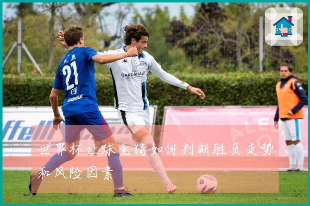 世界杯让球竞猜如何判断胜负走势和风险因素