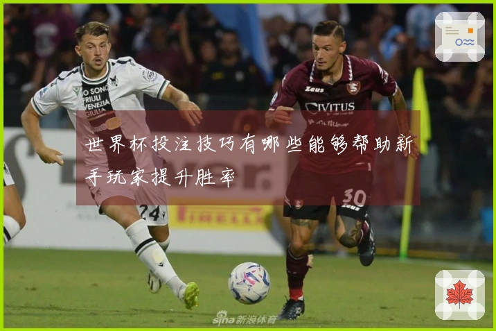 世界杯投注技巧有哪些能够帮助新手玩家提升胜率