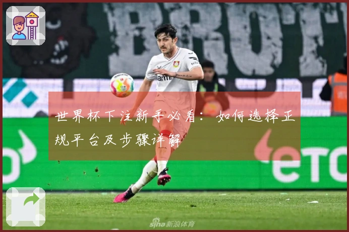 世界杯下注新手必看：如何选择正规平台及步骤详解
