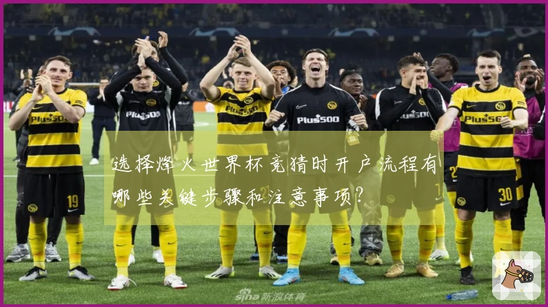 选择烽火世界杯竞猜时开户流程有哪些关键步骤和注意事项？