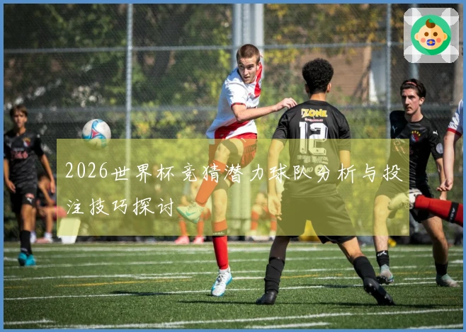 2026世界杯竞猜潜力球队分析与投注技巧探讨