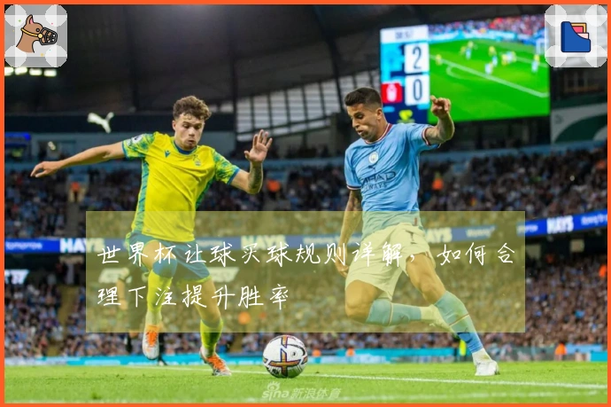 世界杯让球买球规则详解，如何合理下注提升胜率