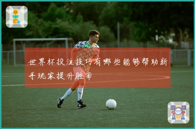 世界杯投注技巧有哪些能够帮助新手玩家提升胜率