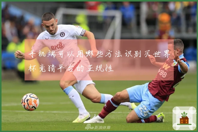 手机端可以用哪些方法识别买世界杯竞猜平台的正规性