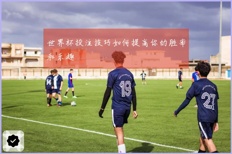 世界杯投注技巧如何提高你的胜率和乐趣