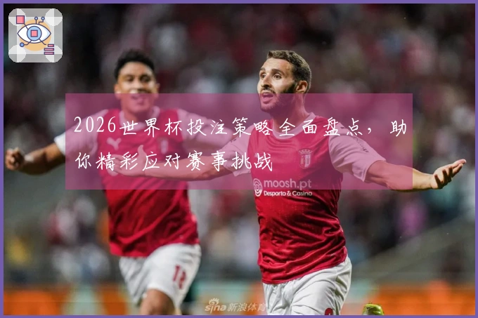 2026世界杯投注策略全面盘点，助你精彩应对赛事挑战