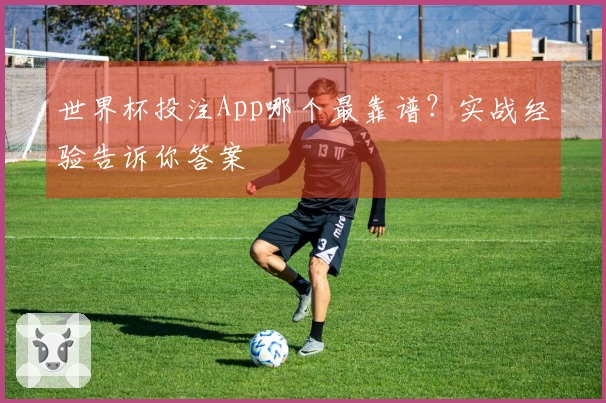 世界杯投注App哪个最靠谱?实战经验告诉你答案