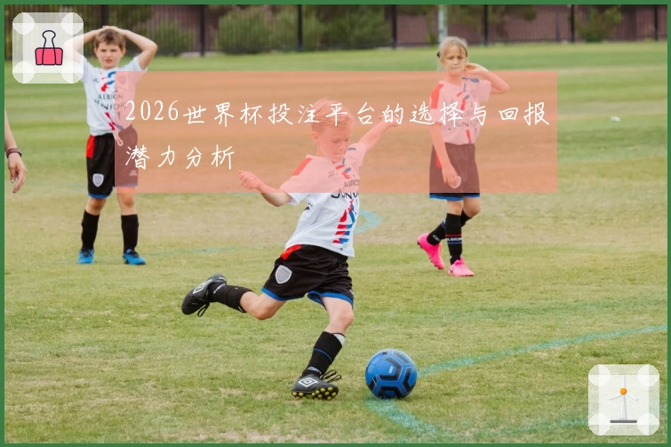 2026世界杯投注平台的选择与回报潜力分析