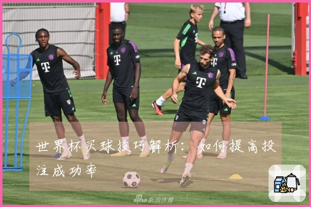 世界杯买球技巧解析：如何提高投注成功率