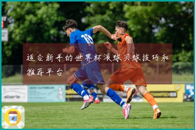 适合新手的世界杯滚球买球技巧和推荐平台