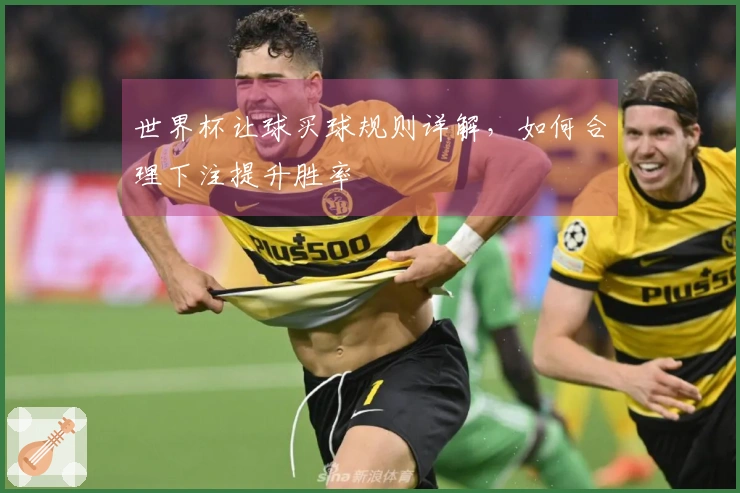 世界杯让球买球规则详解，如何合理下注提升胜率