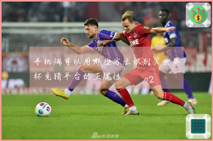 手机端可以用哪些方法识别买世界杯竞猜平台的正规性