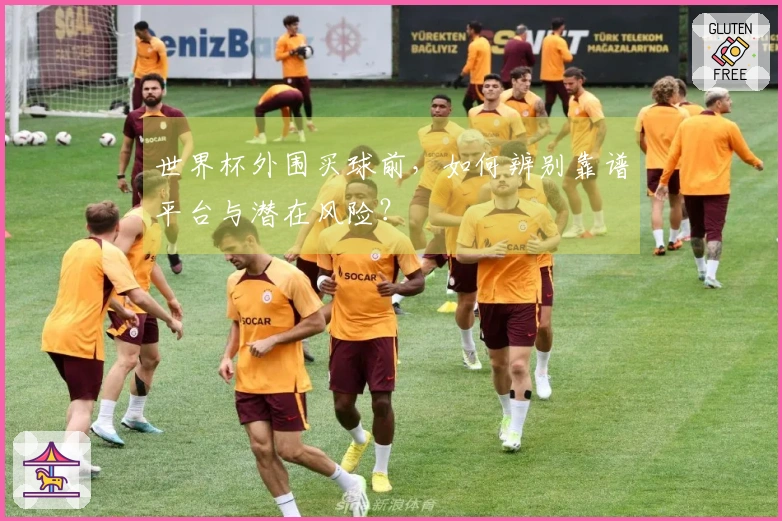 世界杯外围买球前，如何辨别靠谱平台与潜在风险？