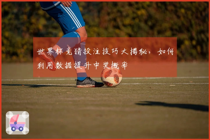 世界杯竞猜投注技巧大揭秘，如何利用数据提升中奖概率