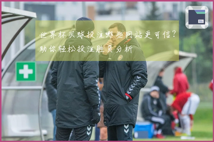 世界杯买球投注哪些网站更可信？助你轻松投注胜负分析