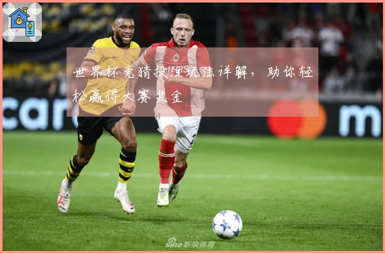 世界杯竞猜投注玩法详解，助你轻松赢得大赛奖金