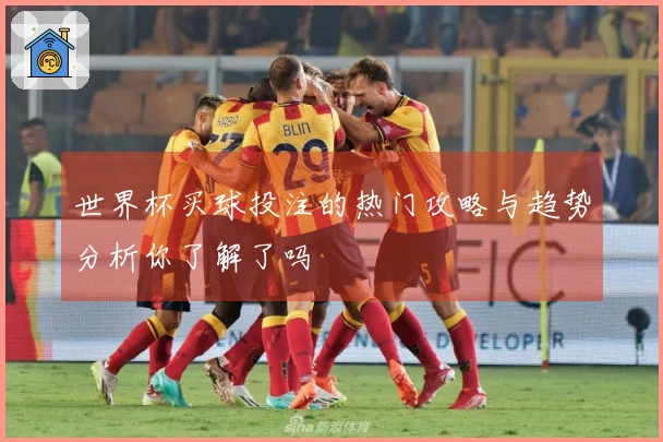 世界杯买球投注的热门攻略与趋势分析你了解了吗